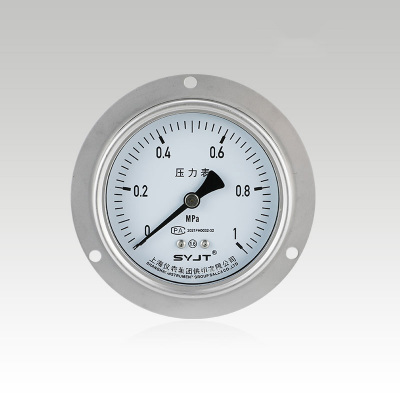 軸向帶邊不銹鋼壓力表