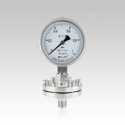 Y-100BF-ML螺紋安裝隔膜壓力表 